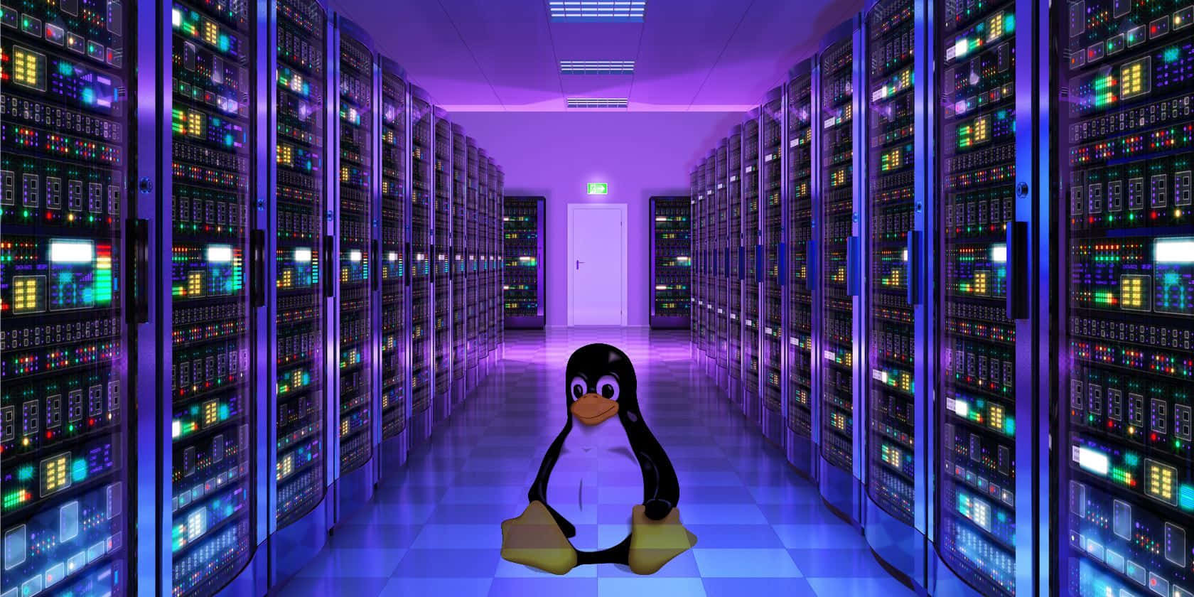 Fondo